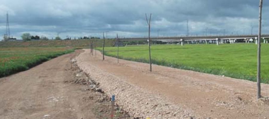 Se retoman las firmas para el carril bici entre Miguelturra y Ciudad Real Se retoman las firmas para el carril bici entre Miguelturra y Ciudad Real