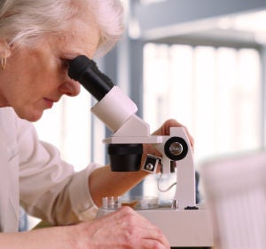 Persisten los obstaculos para que las mujeres accedan a los altos cargos en ciencia Persisten los obstaculos para que las mujeres accedan a los altos cargos en ciencia