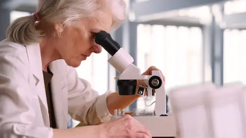 Persisten los obstaculos para que las mujeres accedan a los altos cargos en ciencia Persisten los obstaculos para que las mujeres accedan a los altos cargos en ciencia
