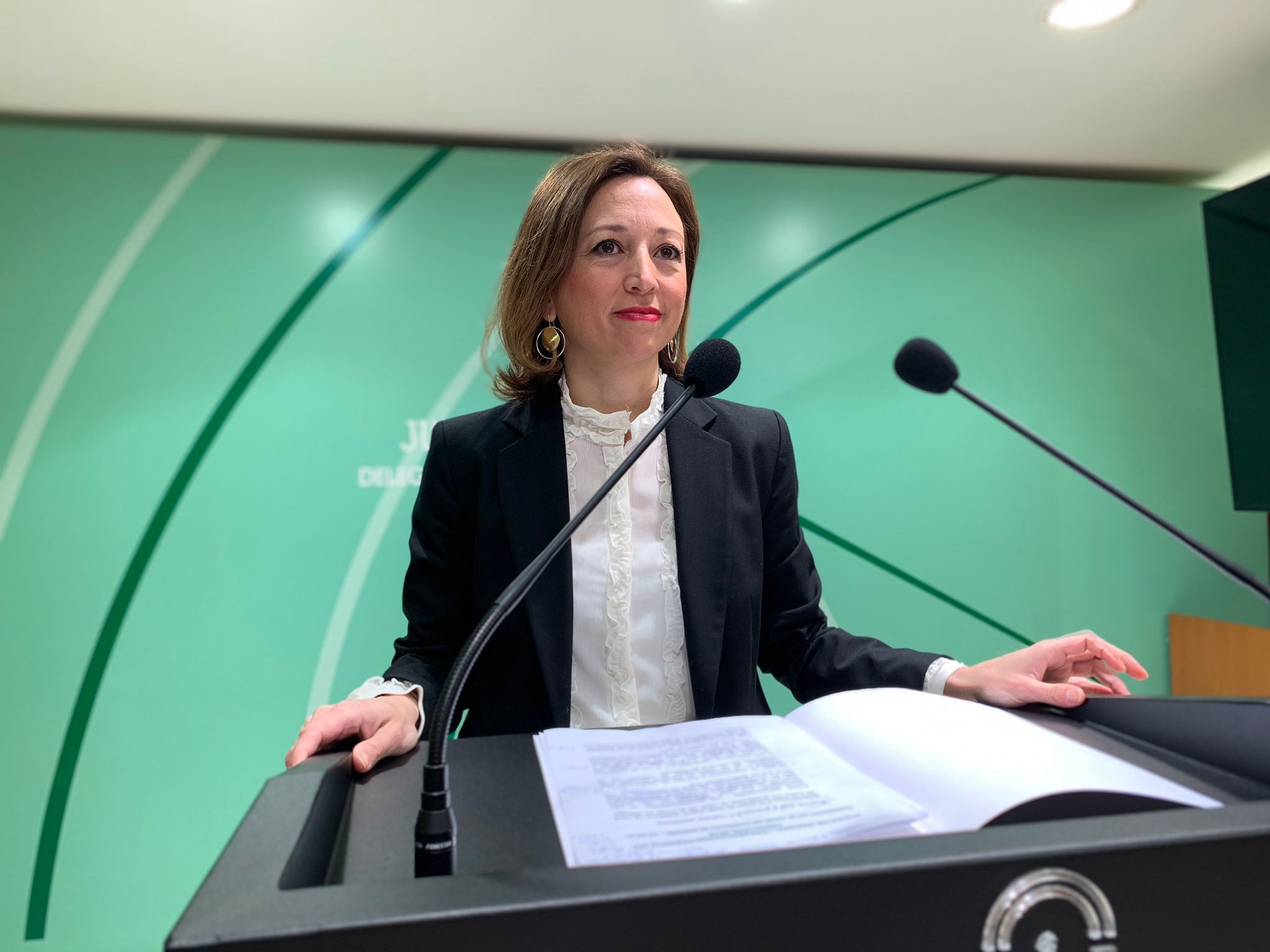 Navarro: "Confío en la sensatez de De la Torre. Mi consejo es que no se celebre la feria" Navarro: "Confío en la sensatez de De la Torre. Mi consejo es que no se celebre la feria"