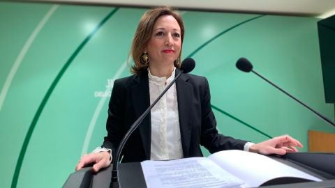 Se anuncian los nombres de los galardonados en la provincia, con motivo del D&iacute;a de Andaluc&iacute;a