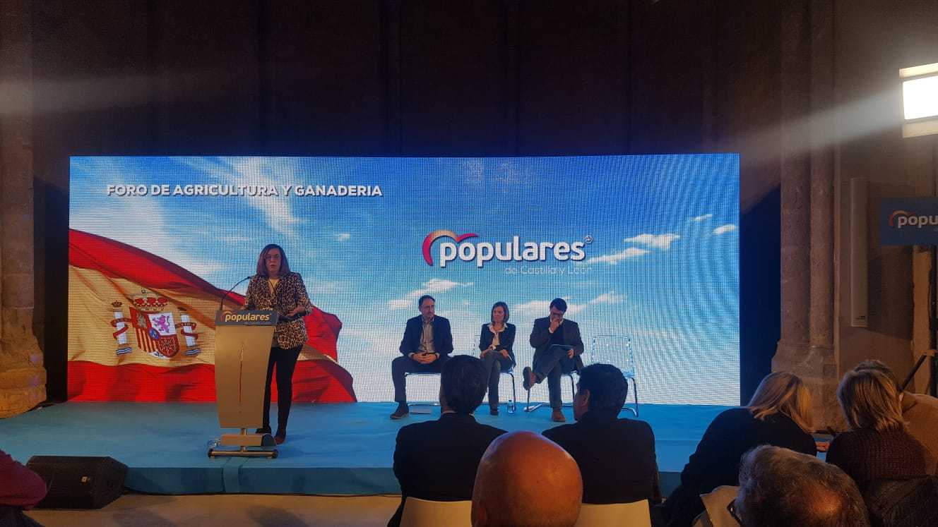 Fernández Mañueco anuncia la creación de un comisionado para hacer más atractivo el medio rural Fernández Mañueco anuncia la creación de un comisionado para hacer más atractivo el medio rural