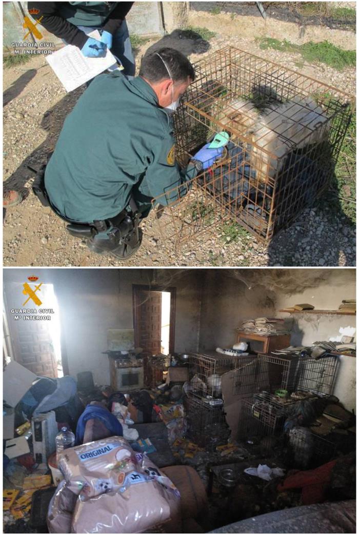 Encuentran cinco perros muertos en un criadero ilegal en Zaragoza Encuentran cinco perros muertos en un criadero ilegal en Zaragoza