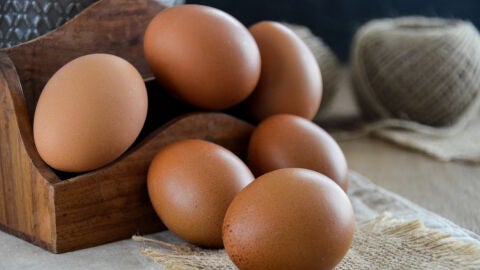 Huevos
