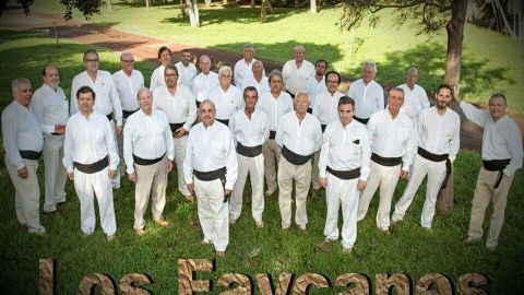 Los Faycanes