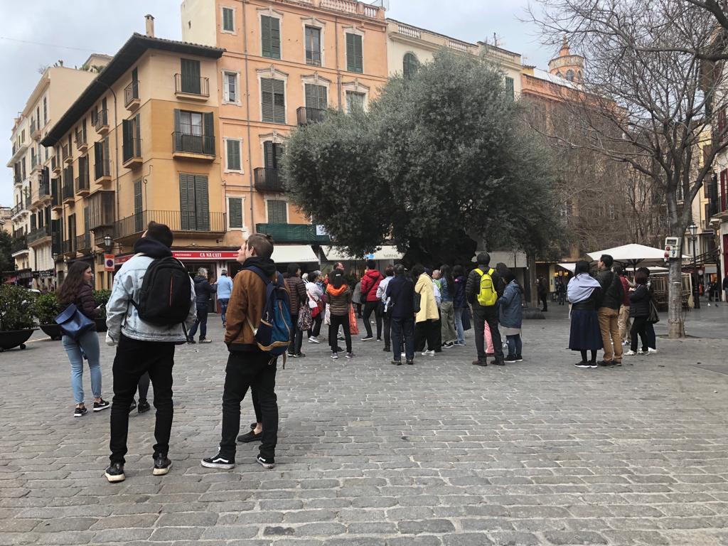 Las pernoctaciones en Palma crecieron un 8,5 % en temporada baja, según Cort Las pernoctaciones en Palma crecieron un 8,5 % en temporada baja, según Cort