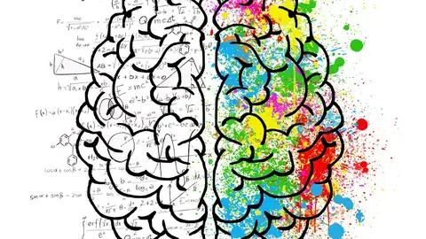 Dibujo de un cerebro Dibujo de un cerebro