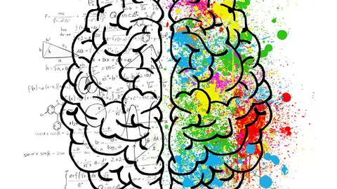 Cerebro Orden y Caos