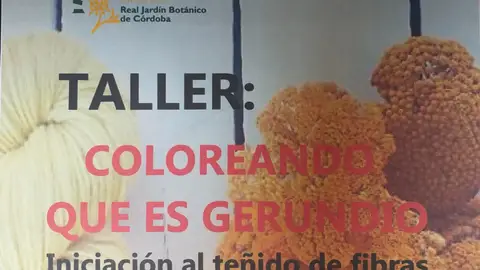 Córdoba en la Onda Córdoba en la Onda