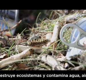 ¿Qué es la 'basuraleza' y cómo puedes ayudar a combatirla? ¿Qué es la 'basuraleza' y cómo puedes ayudar a combatirla?