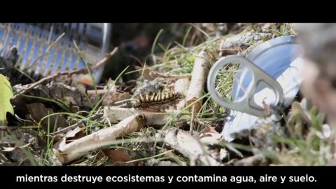 &iquest;Qu&eacute; es la 'basuraleza' y c&oacute;mo puedes ayudar a combatirla?