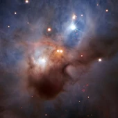 Un murcielago cosmico revolotea en la constelacion de Orion Un murcielago cosmico revolotea en la constelacion de Orion
