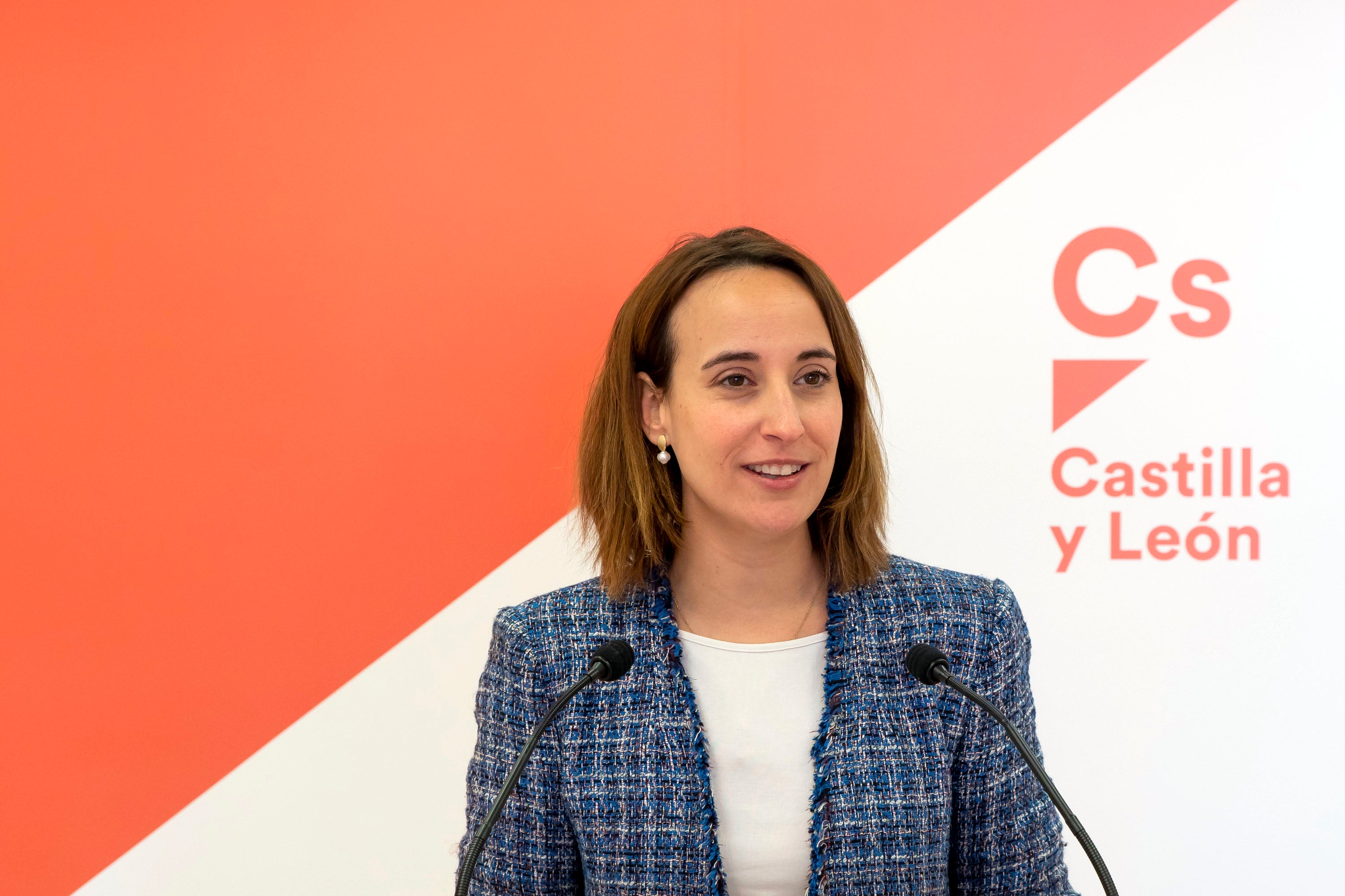 Igea le pide a Pilar Vicente 'que se lo piense' Igea le pide a Pilar Vicente 'que se lo piense'