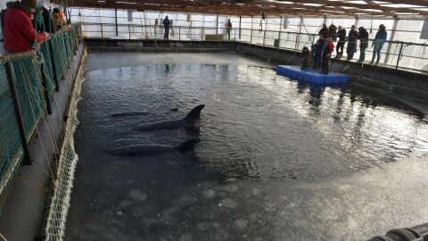 Interior de la c&aacute;rcel de ballenas de Rusia