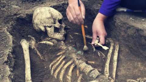 Restos de f&oacute;siles humanos