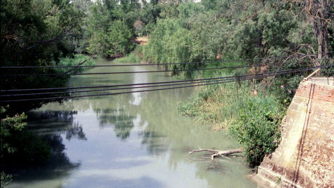 Imagen de archivo de el r&iacute;o Tajo a su paso por Aranjuez.