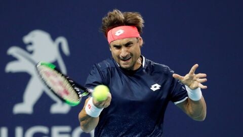David Ferrer, en acci&oacute;n contra Sam Querrey