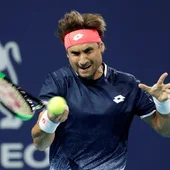 David Ferrer, en acción contra Sam Querrey David Ferrer, en acción contra Sam Querrey