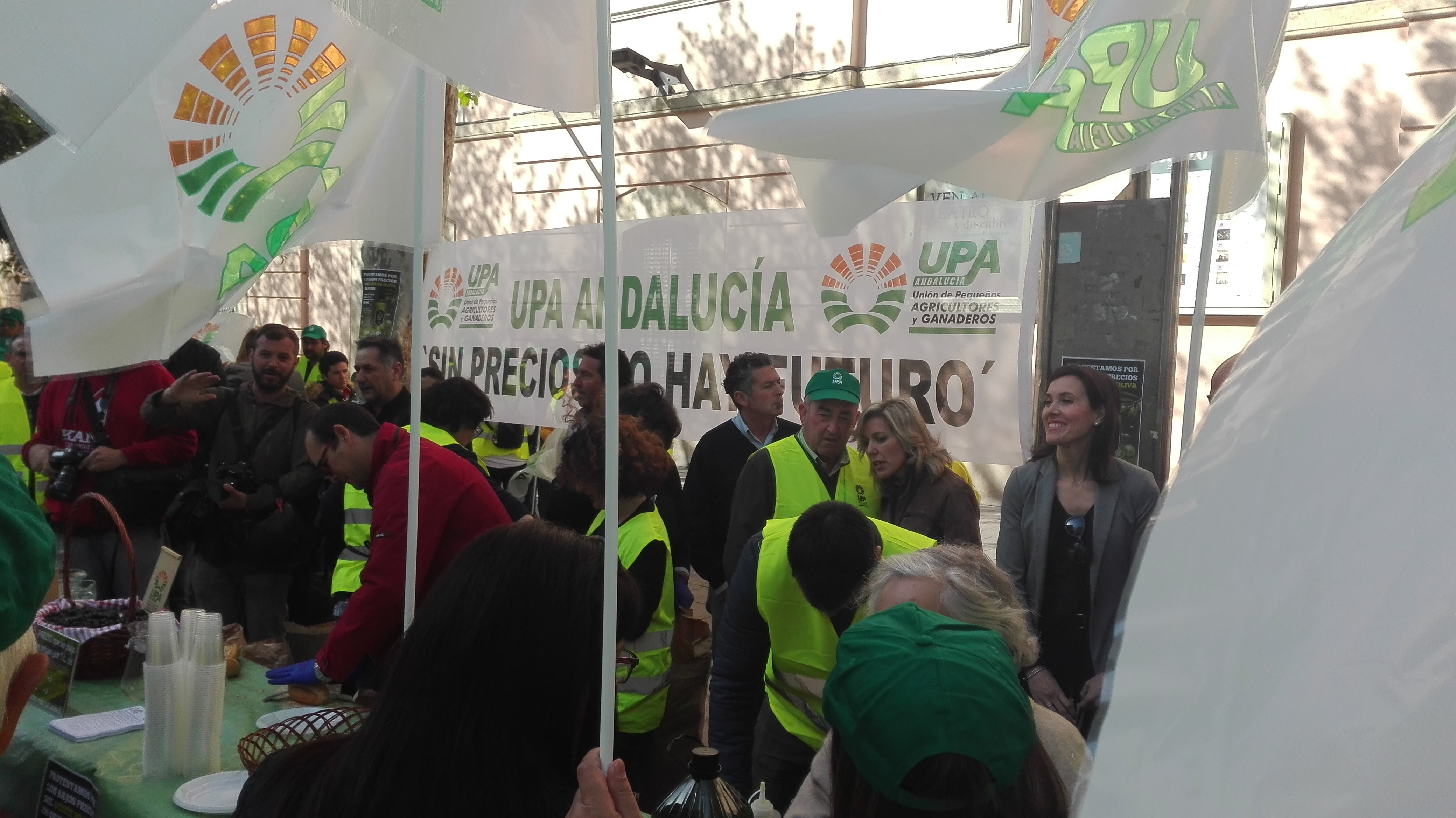 Los olivareros se concentran en protesta por los precios del aceite de oliva Los olivareros se concentran en protesta por los precios del aceite de oliva