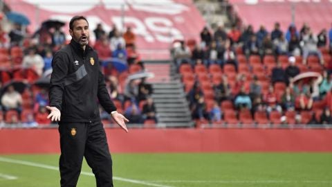 El entrenador del RCD Mallorca, Vicente Moreno. 