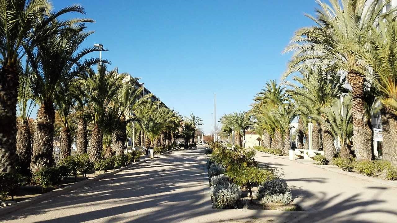 Elche, Crevillent y Santa Pola esperan un último fin de semana de noviembre con sol y termómetros en descenso Elche, Crevillent y Santa Pola esperan un último fin de semana de noviembre con sol y termómetros en descenso