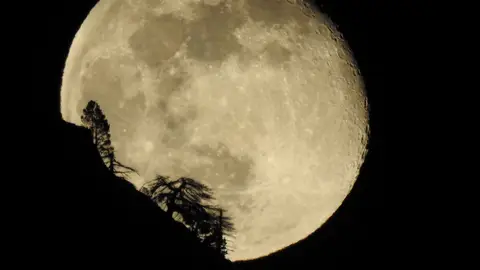 Luna llena Juanita Serrano