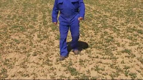 La sequ&iacute;a, principal preocupaci&oacute;n de los ganaderos y agricultores