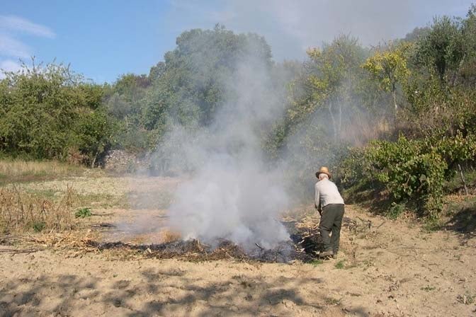 A Xunta prohibe dende este sábado as queimas agrícolas e forestais de particulares A Xunta prohibe dende este sábado as queimas agrícolas e forestais de particulares