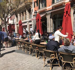 Terraza en la Plaza de Cort de Palma Terraza en la Plaza de Cort de Palma