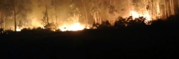 Activos en Galicia cuatro incendios, uno de los cuales ha arrasado 200 hectáreas Activos en Galicia cuatro incendios, uno de los cuales ha arrasado 200 hectáreas