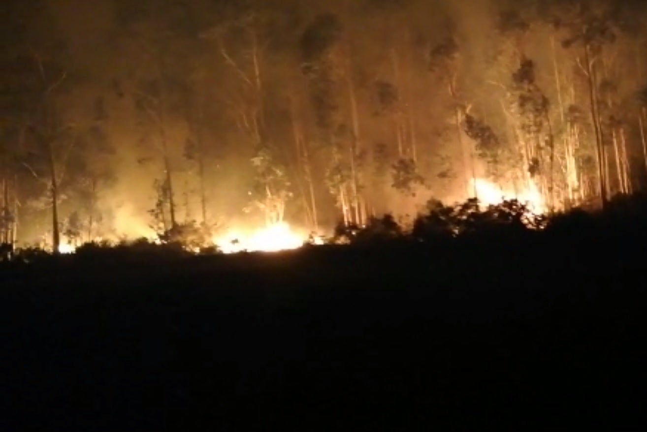 Activos en Galicia cuatro incendios, uno de los cuales ha arrasado 200 hectáreas Activos en Galicia cuatro incendios, uno de los cuales ha arrasado 200 hectáreas