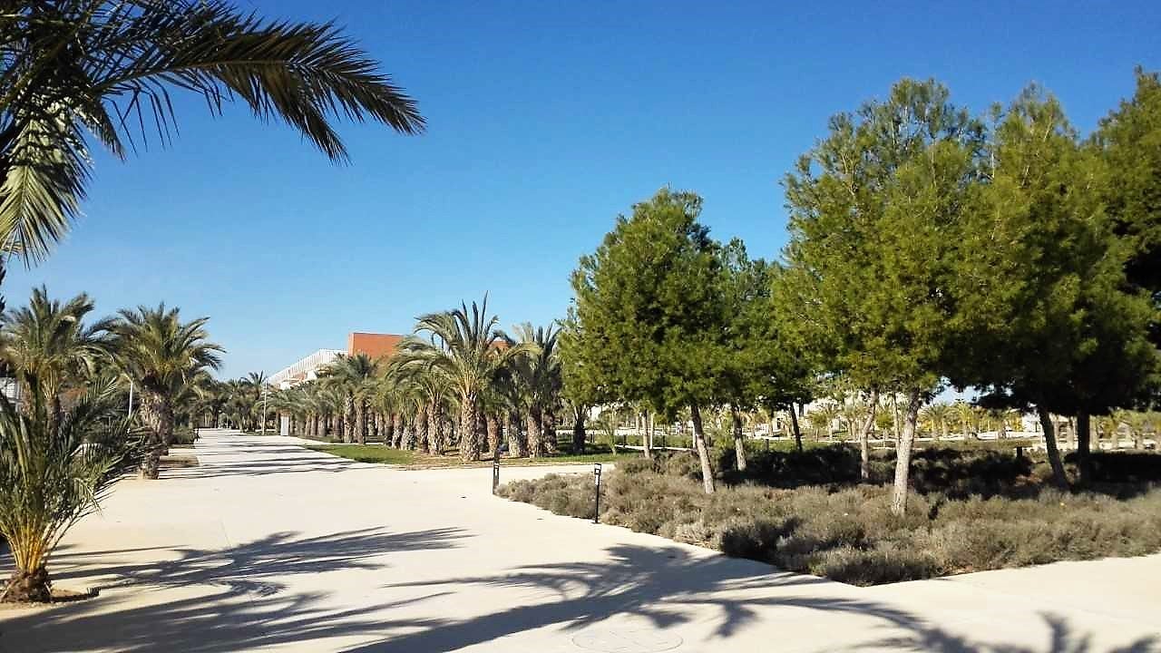 El 48% de los 10.000 desplazamientos que registra al día el campus de Elche de la Universidad Miguel Hernández son en vehículo particular El 48% de los 10.000 desplazamientos que registra al día el campus de Elche de la Universidad Miguel Hernández son en vehículo particular