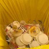 PLASTICOS PLASTICOS