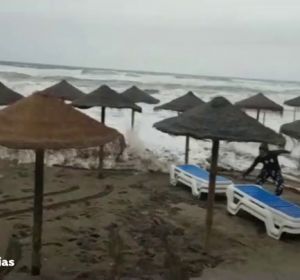 reemplazo temporal reemplazo temporal