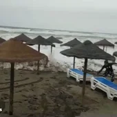 reemplazo temporal reemplazo temporal