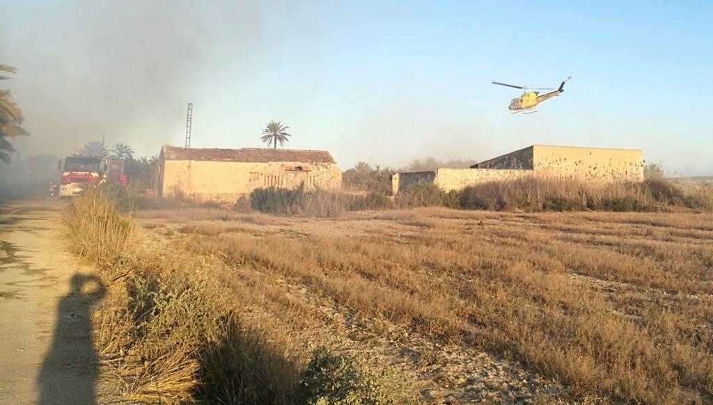 Un incendio calcina alrededor de 5.000 metros cuadrados de palmeras en la carretera del León en Elche Un incendio calcina alrededor de 5.000 metros cuadrados de palmeras en la carretera del León en Elche