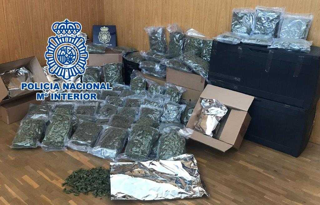 La Policía Nacional detiene a un hombre que distribuía grandes cantidades de marihuana desde Elche La Policía Nacional detiene a un hombre que distribuía grandes cantidades de marihuana desde Elche