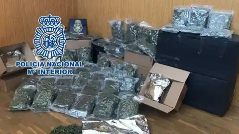 Marihuana que el detenido pretendía enviar desde Elche Marihuana que el detenido pretendía enviar desde Elche