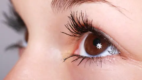 Ojos Nova Life
