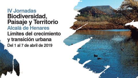 IV edici&oacute;n en Alcal&aacute; de Henares