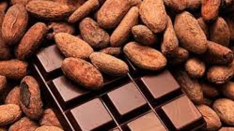 Chocolate