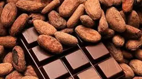 Chocolate Chocolate
