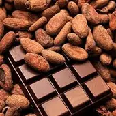 Chocolate Chocolate