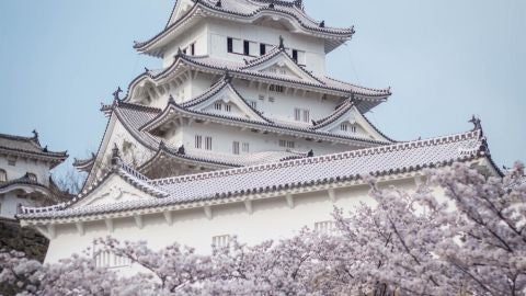 Jap&oacute;n