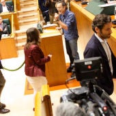 Los parlamentarios del PP increpan al parlamentario de EH Bildu Julen Arzuaga