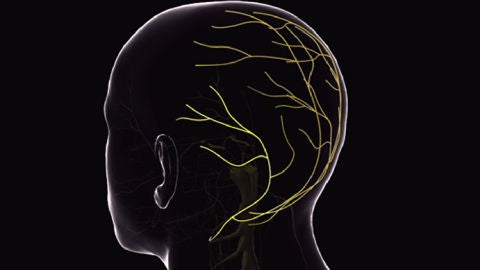 Reivindican el legado de dos medicos espanoles del siglo XIX a la neurologia