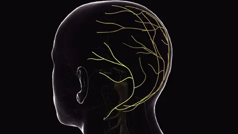 Reivindican el legado de dos medicos espanoles del siglo XIX a la neurologia Reivindican el legado de dos medicos espanoles del siglo XIX a la neurologia