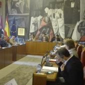 Pleno de la Diputación de Ciudad Real