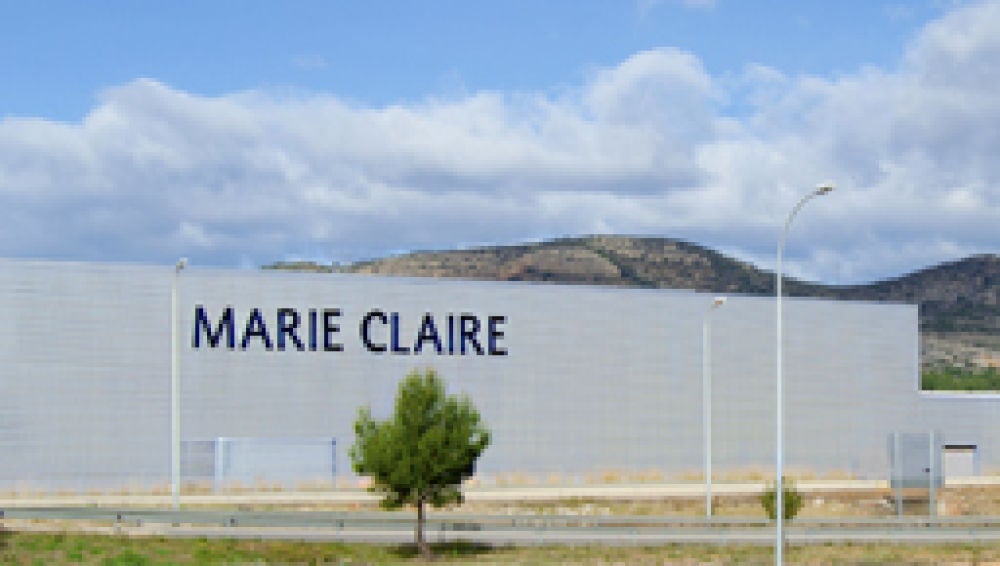 Planta Marie Claire.