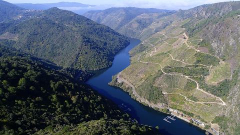  La Ribeira Sacra optar&aacute; a la declaraci&oacute;n de Patrimonio Mundial de la Unesco Vi&ntilde;edos en la Ribeira Sacra siguiendo el curso del Sil. EFE/Archivo La Ribeira Sacra optar&aacute; a la declaraci&oacute;n de Patrimonio Mundial de la Unesco